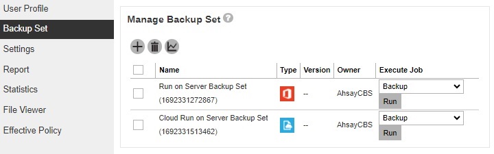 Backup Set