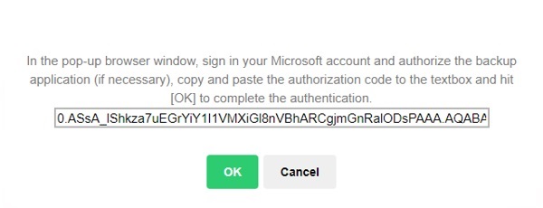 Paste Authorization Code