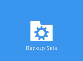 Backup Set