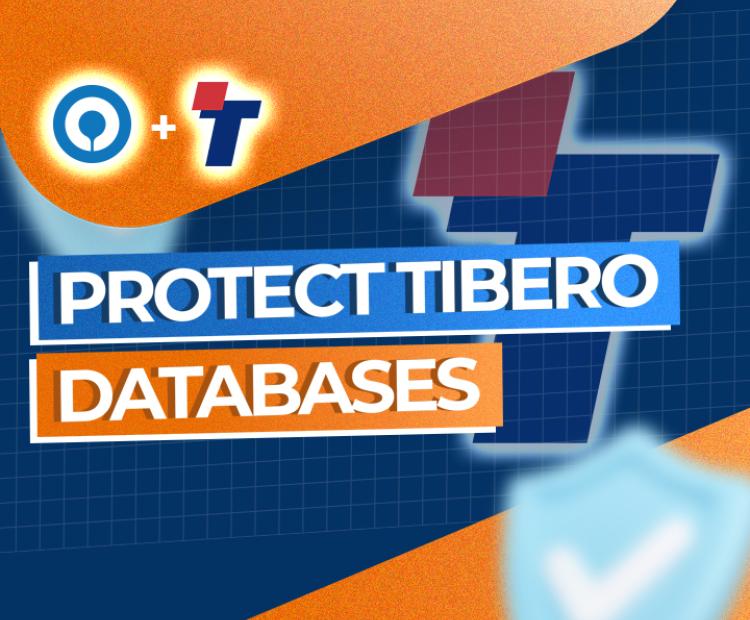 How to backup Tibero Databases on Windows?