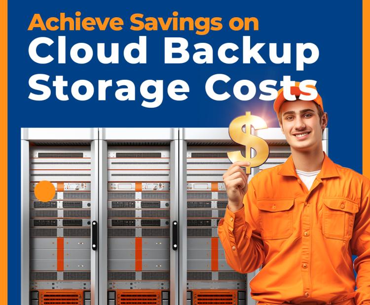 Achieve savings on cloud backup storage costs