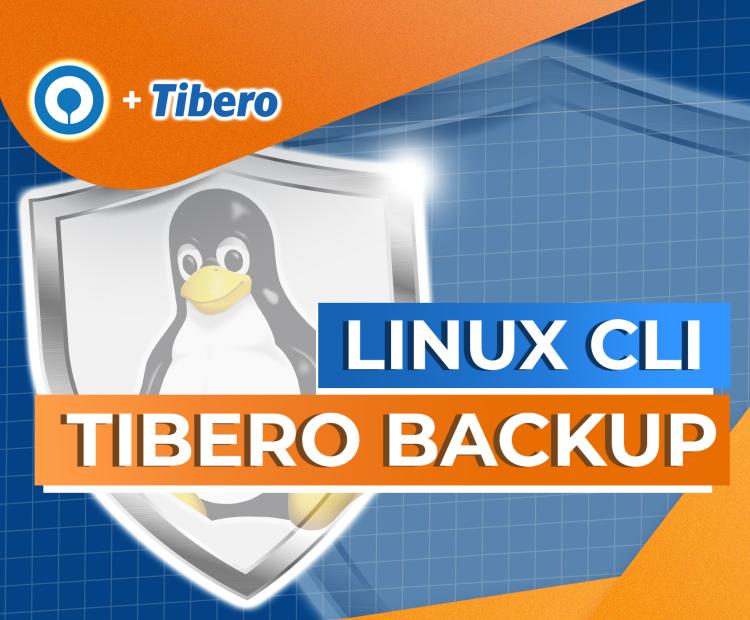 How to backup Tibero databases on Linux CLI?