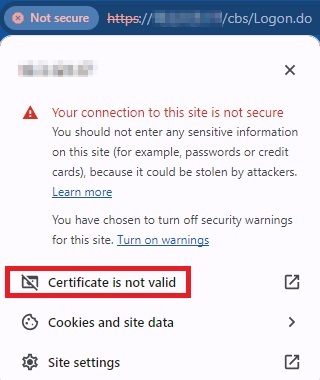 Dummy Certificate