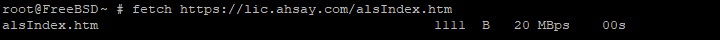 Ahsay License Server