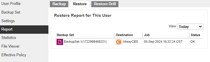 Restore Report