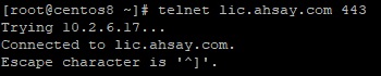 Ahsay License Server