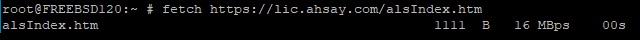 Ahsay License Server