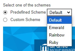 Predefined Color Scheme for Backup Clients