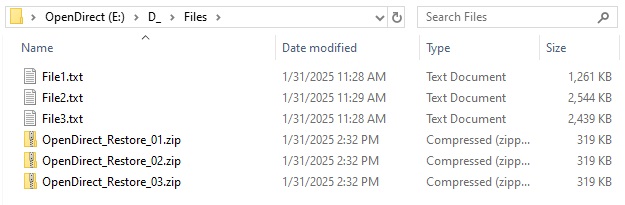 Windows File Explorer